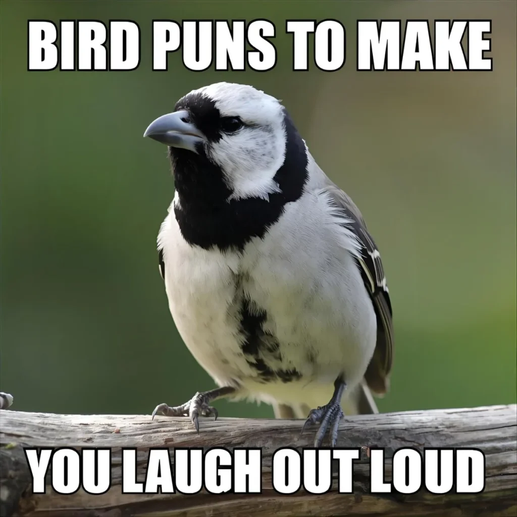 Best Bird Puns