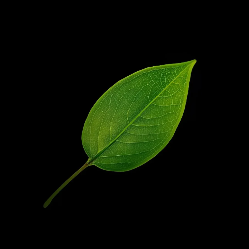 Unique Leaf Puns