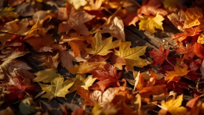 Leaf Puns