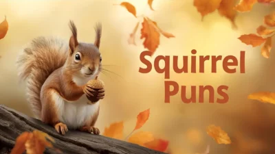 Squirrel Puns